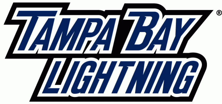 Tampa Bay Lightning 2011 Wordmark Logo t shirts iron on transfers